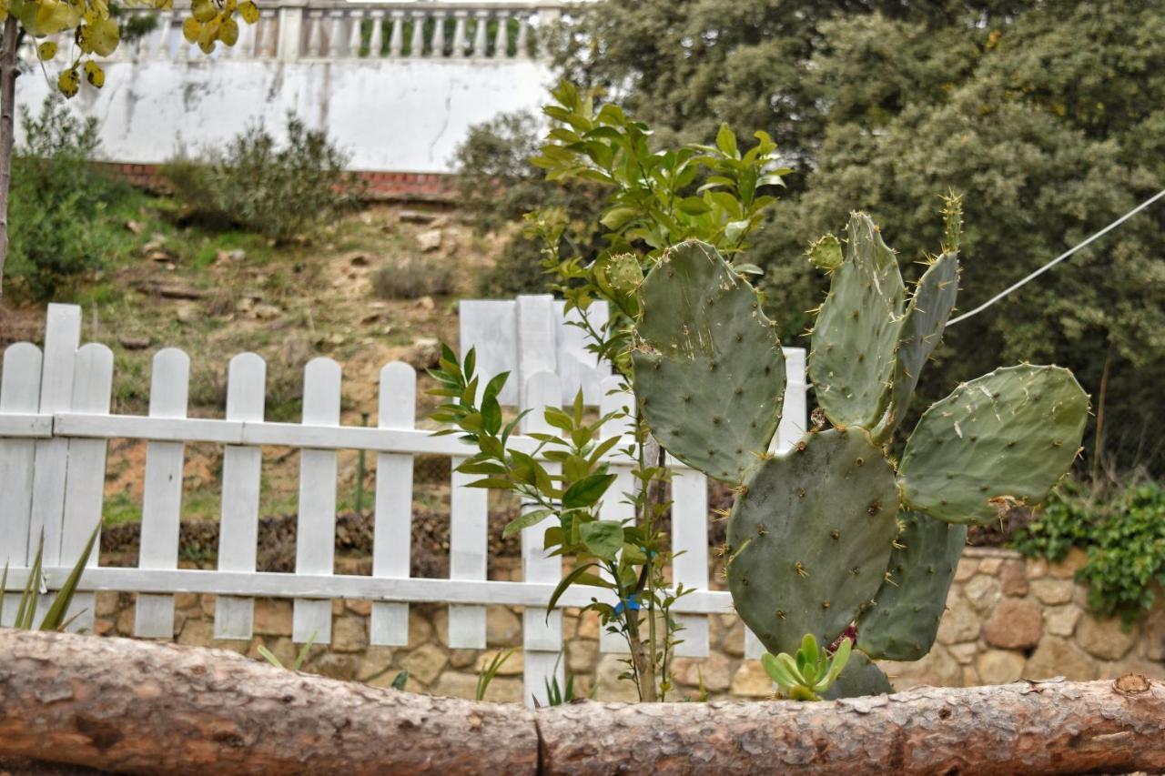 Casa Rural La Goleta II San Martín de Valdeiglesias Εξωτερικό φωτογραφία
